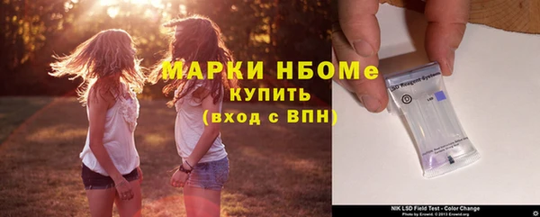 шишки Алексин