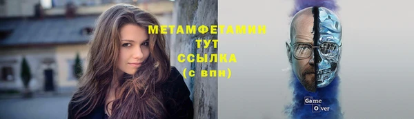 шишки Алексин
