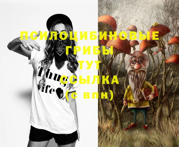 твердый Алексеевка