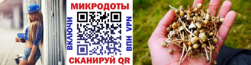 Псилоцибиновые грибы прущие грибы  купить наркотик  Арамиль 